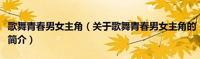 歌舞青春男女主角（关于歌舞青春男女主角的简介）