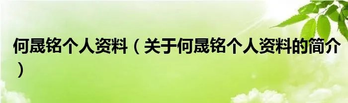 何晟铭个人资料（关于何晟铭个人资料的简介）