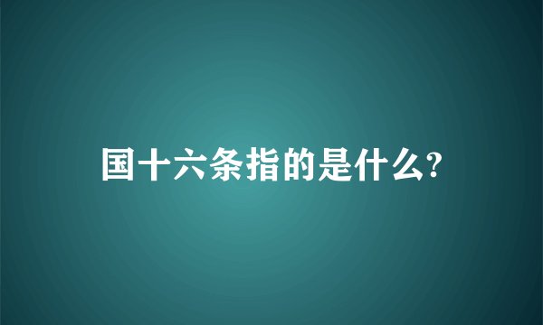 国十六条指的是什么?