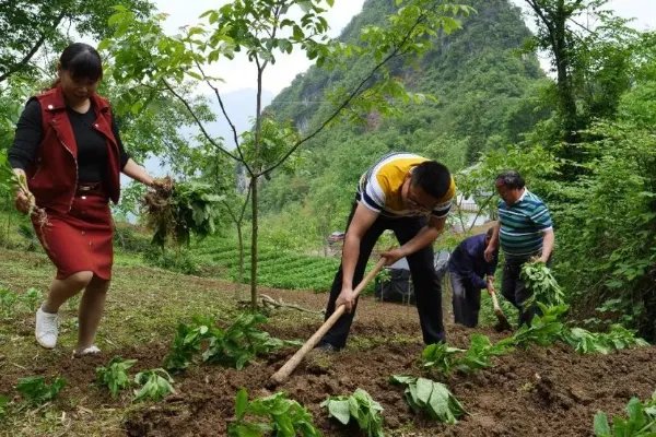 全国妇联倡议妇女勤俭持家，这个倡议是因为粮食危机吗？