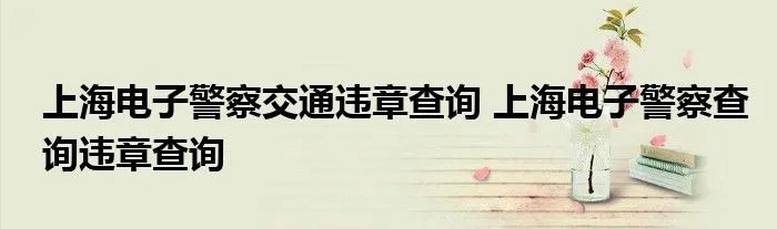 上海电子警察交通违章查询 上海电子警察查询违章查询