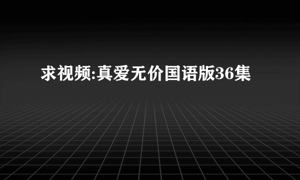 求视频:真爱无价国语版36集