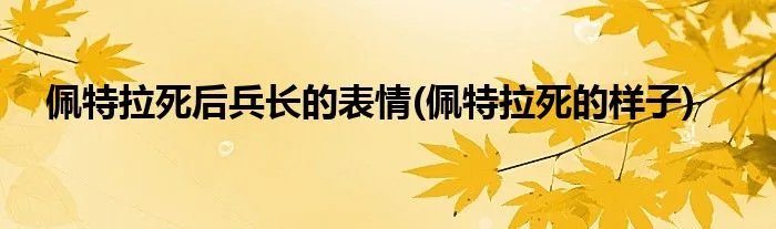 佩特拉死后兵长的表情(佩特拉死的样子)