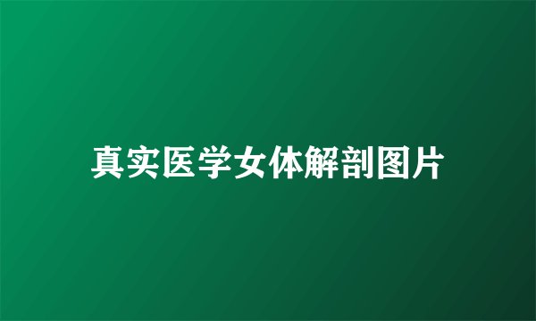 真实医学女体解剖图片