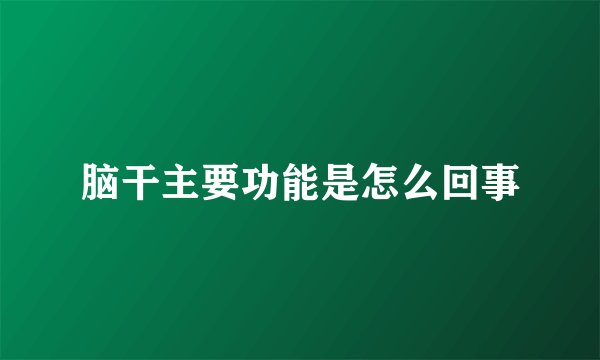 脑干主要功能是怎么回事