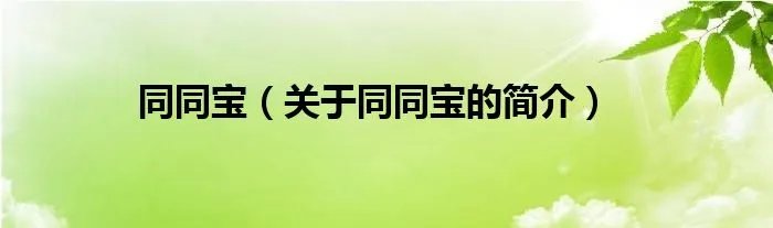 同同宝（关于同同宝的简介）