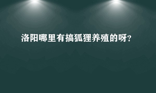 洛阳哪里有搞狐狸养殖的呀？