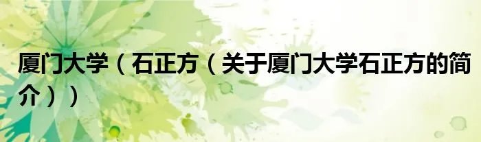 厦门大学（石正方（关于厦门大学石正方的简介））