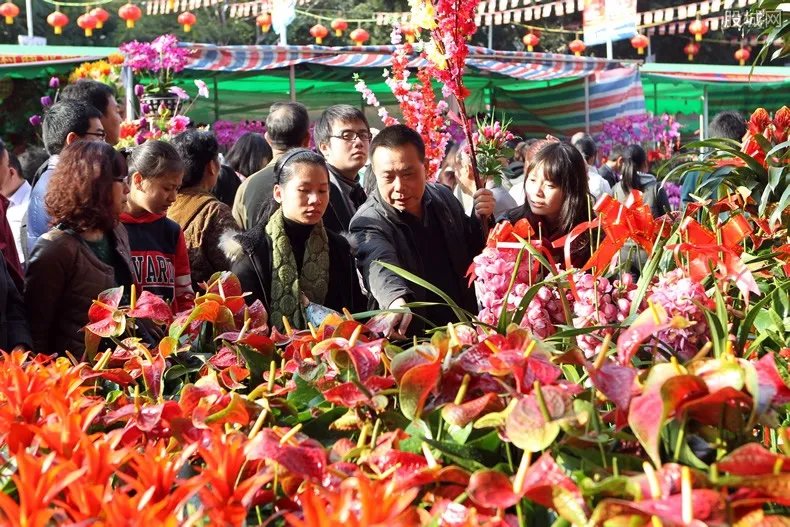 公墓祭祀鲜花被盗卖 15元一枝价格二次售卖