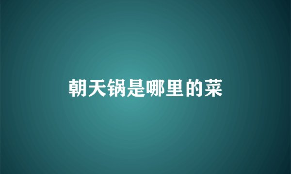 朝天锅是哪里的菜