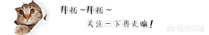 老鹰、热火在和火箭商议交易安德森的可能性，他们这样做的理由是什么？