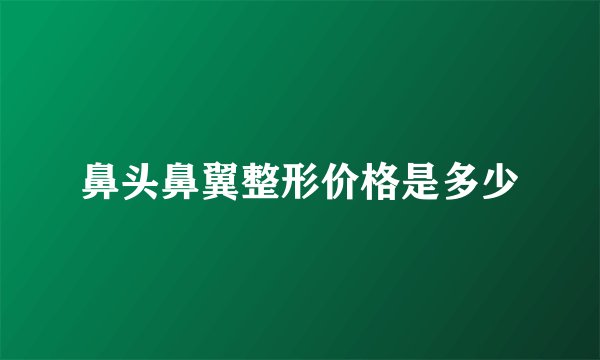 鼻头鼻翼整形价格是多少