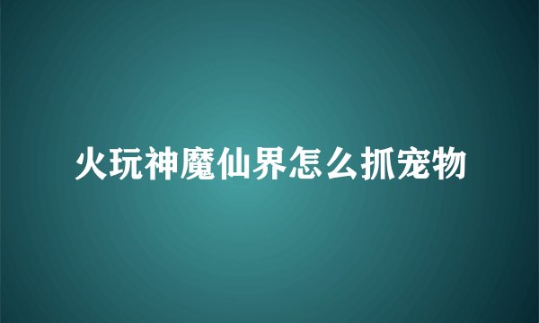 火玩神魔仙界怎么抓宠物