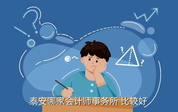 泰安会计师事务所,会计师事务所