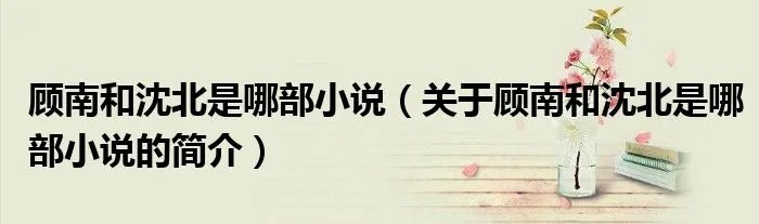 顾南和沈北是哪部小说(关于顾南和沈北是哪部小说的简介)
