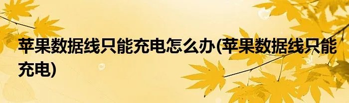 苹果数据线只能充电怎么办(苹果数据线只能充电)
