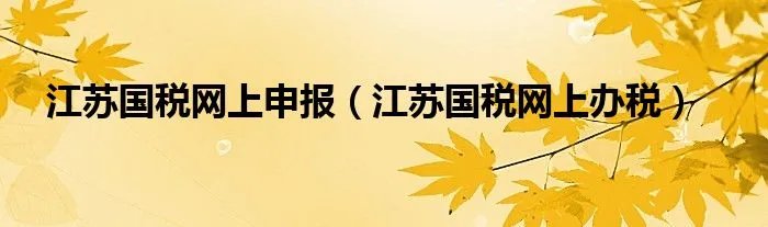 江苏国税网上申报（江苏国税网上办税）