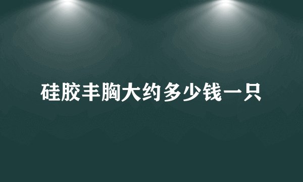 硅胶丰胸大约多少钱一只