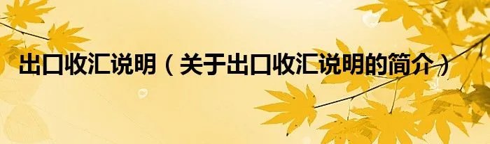 出口收汇说明（关于出口收汇说明的简介）