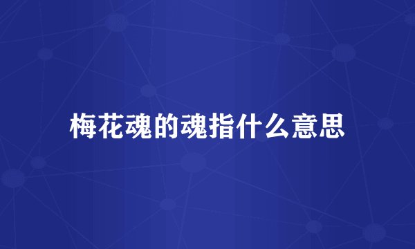 梅花魂的魂指什么意思