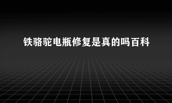 铁骆驼电瓶修复是真的吗百科