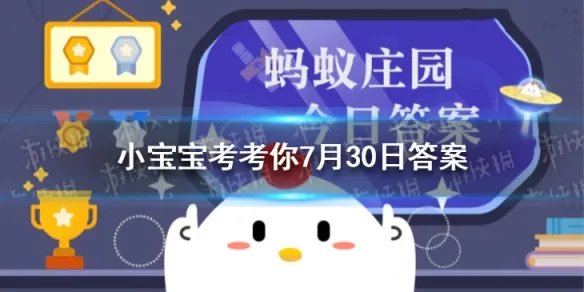 拔河是奥运会比赛项目吗 拔河和花式跳绳哪个城市奥运会比赛项目