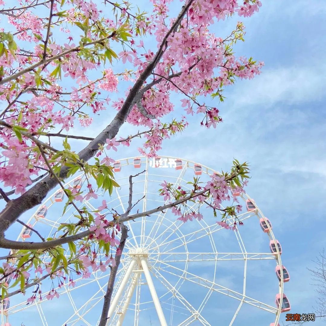 所见所领皆是生活什么意思