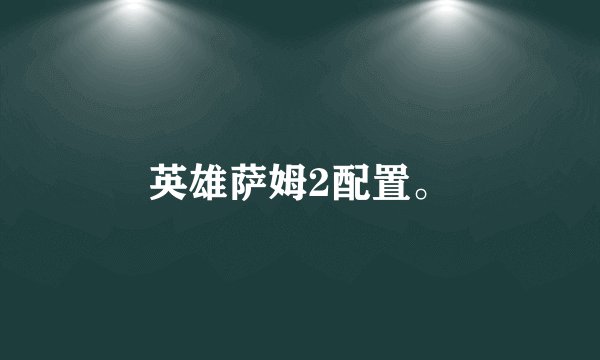 英雄萨姆2配置。