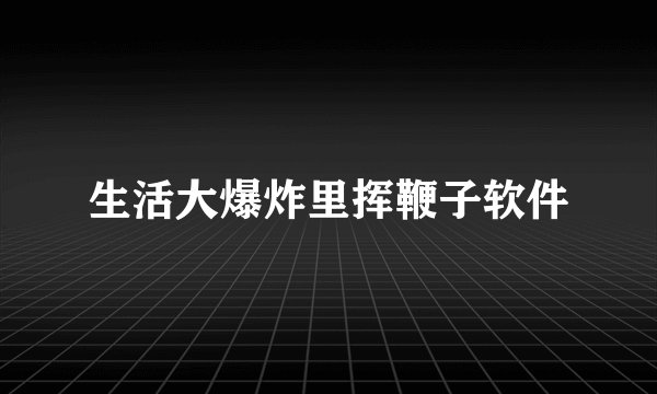 生活大爆炸里挥鞭子软件