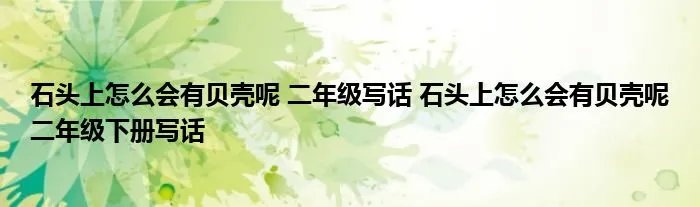石头上怎么会有贝壳呢 二年级写话 石头上怎么会有贝壳呢二年级下册写话
