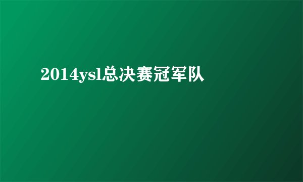2014ysl总决赛冠军队
