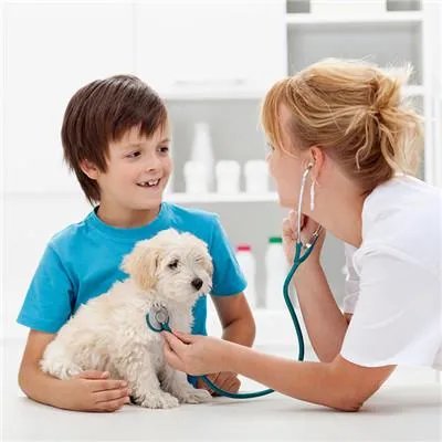 犬瘟后期怎么治疗