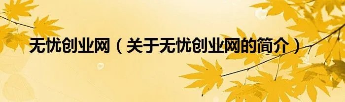 无忧创业网（关于无忧创业网的简介）