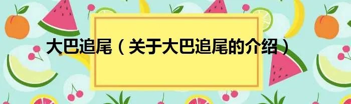 大巴追尾（关于大巴追尾的介绍）