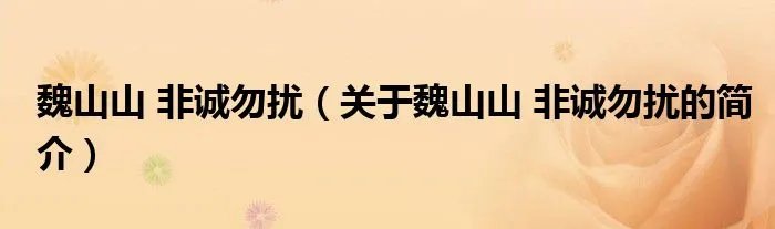 魏山山 非诚勿扰（关于魏山山 非诚勿扰的简介）