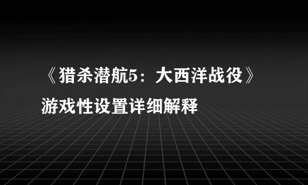 《猎杀潜航5：大西洋战役》游戏性设置详细解释