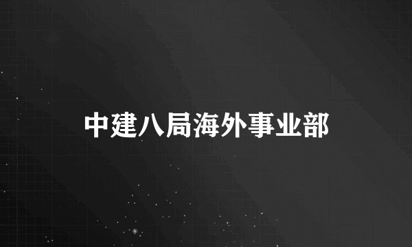 中建八局海外事业部