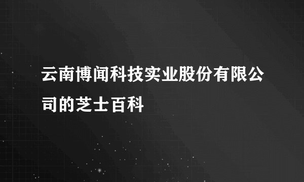 云南博闻科技实业股份有限公司的芝士百科