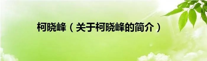 柯晓峰（关于柯晓峰的简介）
