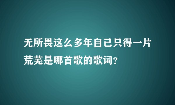 无所畏这么多年自己只得一片荒芜是哪首歌的歌词?
