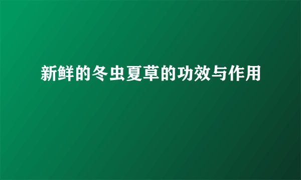 新鲜的冬虫夏草的功效与作用