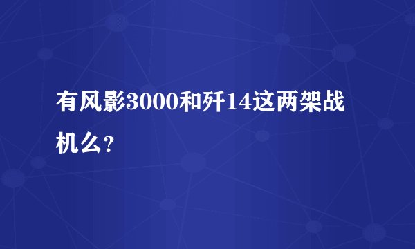 有风影3000和歼14这两架战机么?