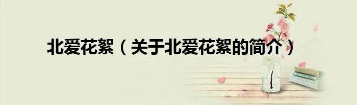 北爱花絮（关于北爱花絮的简介）
