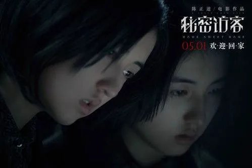 《秘密访客》预售票房破千万,你觉得这部电影的票房能破十亿吗?