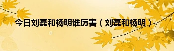 今日刘磊和杨明谁厉害（刘磊和杨明）