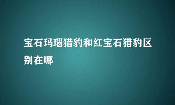 宝石玛瑙猎豹和红宝石猎豹区别在哪