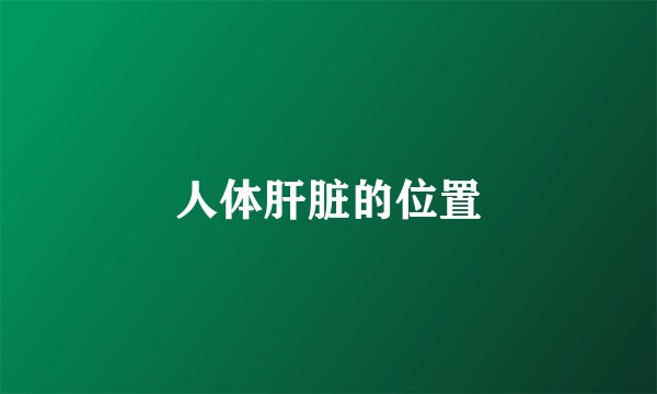 人体肝脏的位置