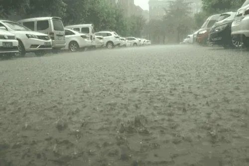 北方多地大风降温,哪些省市降温最为严重?