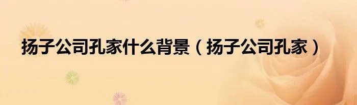 扬子公司孔家什么背景（扬子公司孔家）