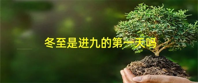 冬至是进九的第一天吗